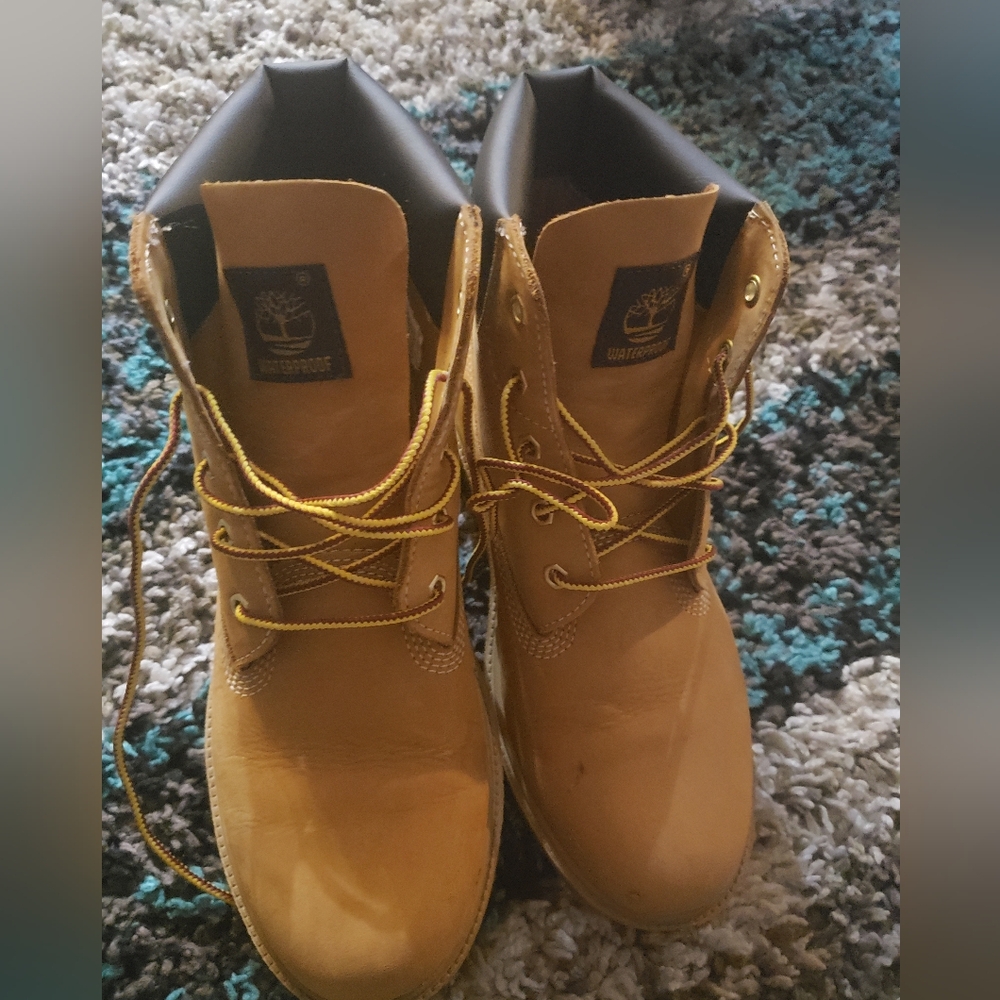 Timberland 6 premium